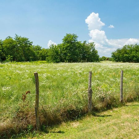 Villa Aschbacher By Interhome Balatonszárszó Eksteriør bilde